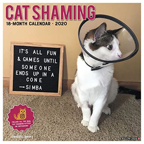 Read Online Cat Shaming 2020 Wall Calendar By Willow Creek Press