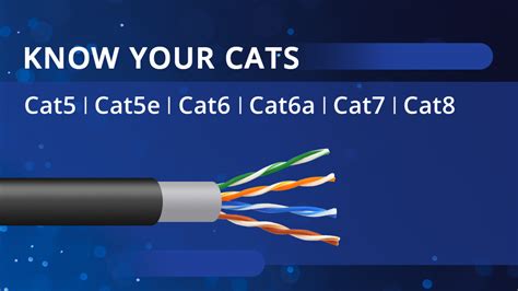 Cat5/5e, Cat6/6a, Cat7 and Cat8 Cable Buying Guide - Knowledge