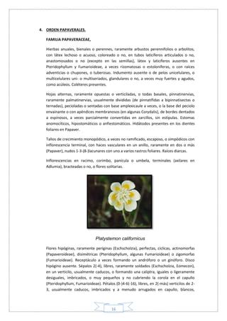 CatalogoFloraliaVerano2024 PDF Botánica - Scribd