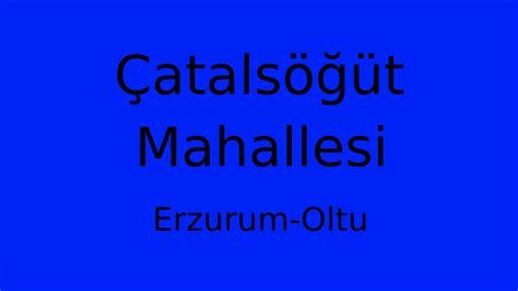 Catalsogut Halı ve Koltuk Yıkama