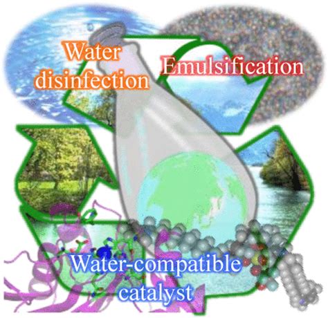 Catalytic Organic Reactions in Water toward Sustainable Society