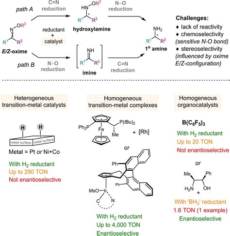 Catalytic Reduction of Oximes to Hydroxylamines ... - Chemistry …