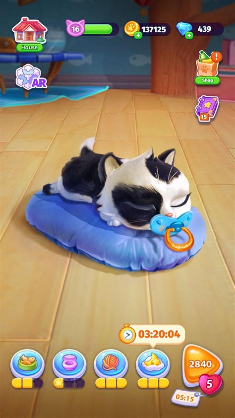 Catapolis Cat Simulator Game APK Download for Android 