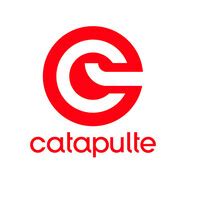 Catapulte Limited LinkedIn