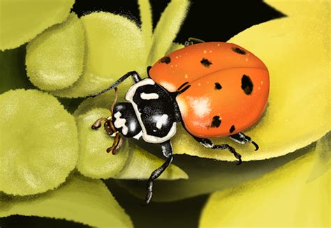 Catarina Perteli Onlyfans Leaked XXX 🍌 220 Videos