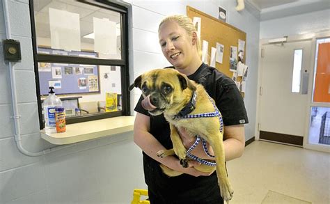 Catawba county animal shelter. The Catawba County Animal Shelter will be closed July 24-31 for floor resurfacing... View full story. Published: July 20, 2023 This Week @ Your Library. Join us at your library this coming week for crafts for all ages, employment workshops, volunteering in the garden, and managing stress!... 