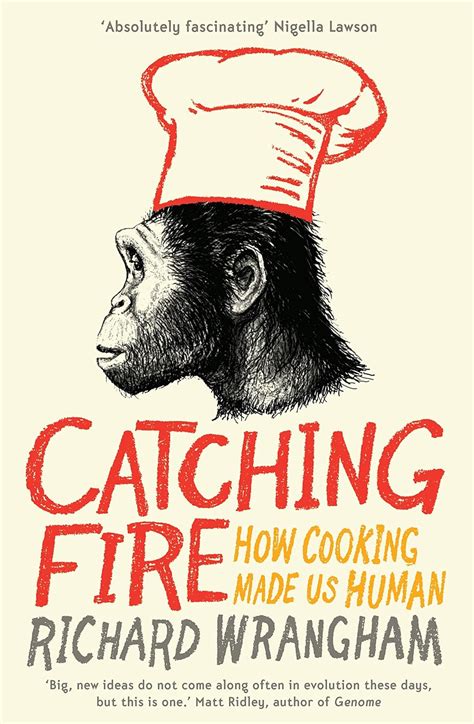 Read Online Catching Fire How Cooking Made Us Human By Richard W Wrangham