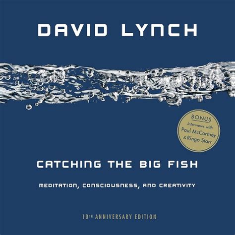 Read Online Catching The Big Fish Meditation Consciousness And Creativity By David Lynch