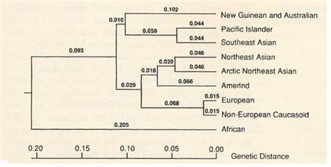 Categorization of Humans in Biomedical Research Genes Race