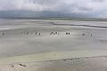 Category:Bay of Mont-Saint-Michel - Wikimedia Commons