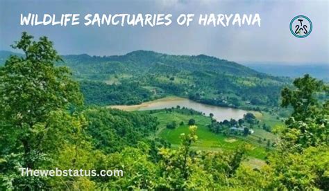 Category:Wildlife sanctuaries in Haryana - Wikipedia