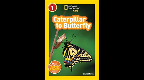 Read Online Caterpillar To Butterfly By Laura Marsh