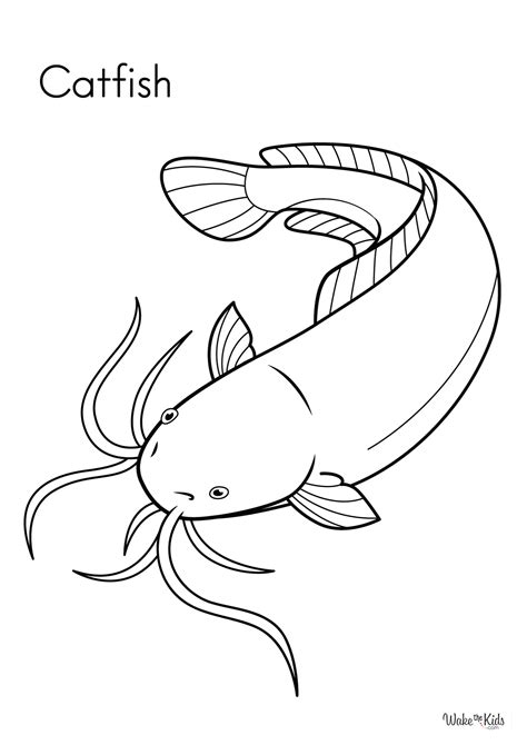 Catfish Coloring Page