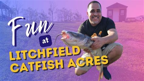 Litchfield Catfish Acres, Litchfield, MI. 26,799 likes · 4 talking about this · 1,421 were here. Litchfield Catfish Acres is home to Michigan's Largest Catfish. We have had over 50 fish caught larger.... 