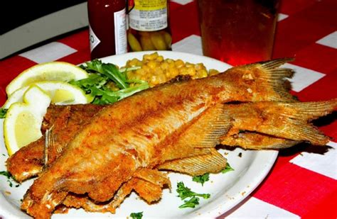 Catfish dewey. Order food online at Catfish Deweys, Fort Lauderdale with Tripadvisor: See 916 unbiased reviews of Catfish Deweys, ranked #64 on Tripadvisor among 1,030 restaurants in Fort Lauderdale. 