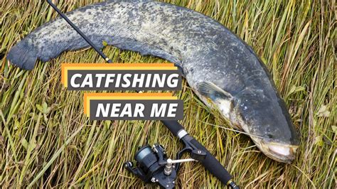 Catfish fishing near me. i have never fished for catfish... i would like to start, so if you guys could get me started on what gear and where to go (around Eugene) ... 