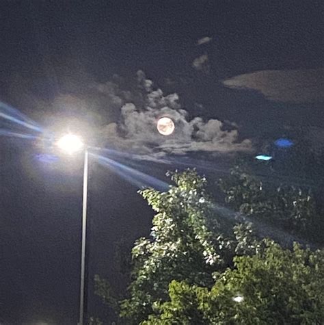 Catherinewalls Leaks (SEX) 202 Vids