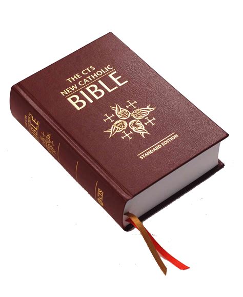  Catholic Bibles. Old Testament. Genesis Exodus Leviticus Numb