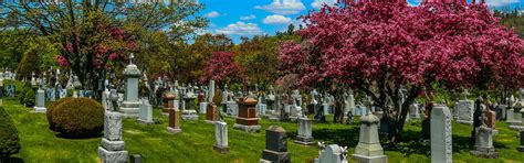 Catholic cemeteries ca. m.  Now hiring.  Everlasting Life.  in the ope...