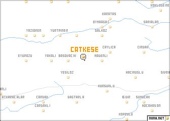 Catkese Halı ve Koltuk Yıkama
