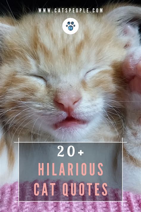 Catquote Onlyfans Leak XxX 🍌