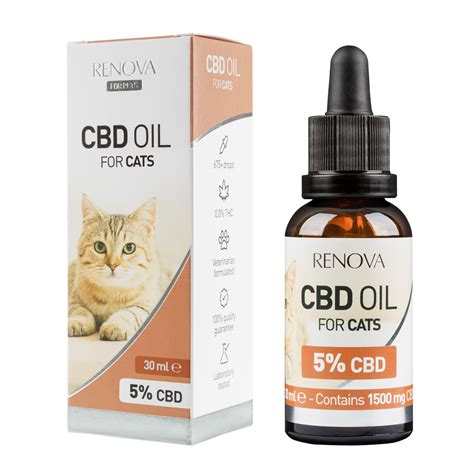 Cats Cancer Cbd Oil