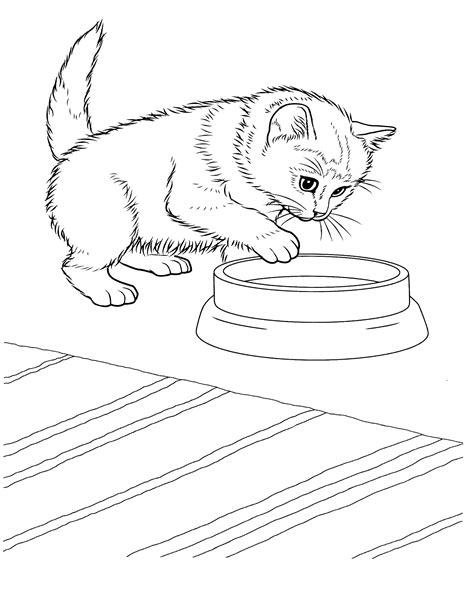 Cats coloring pages Free Coloring Pages