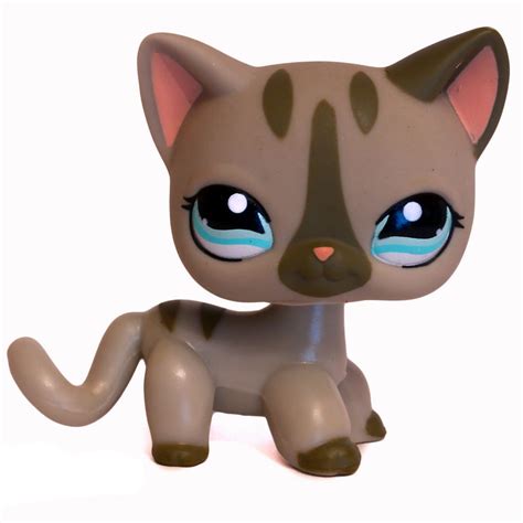 Hasbro Littlest Pet Shop LPS - Your Choice Of Persian Cat: #1428 Or #1761- Pre-loved. (334) $13.73. Hasbro Littlest Pet Shop Animals With Accessories. Pick Your Cat: #129 Persian Cat, #55 Cat Longhair Authentic Kittens. (334) . 