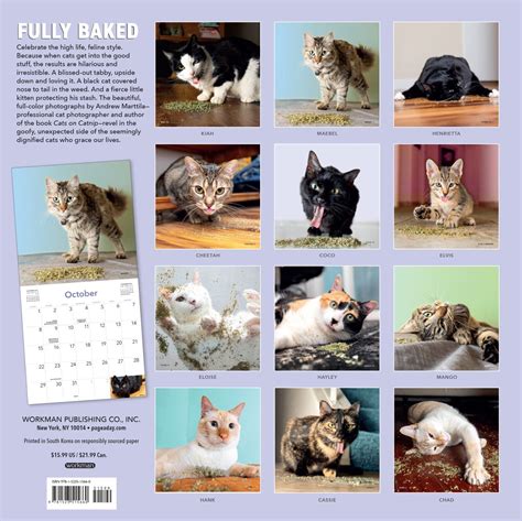 Cats on Catnip 2023 Wall Calendar Astrocus