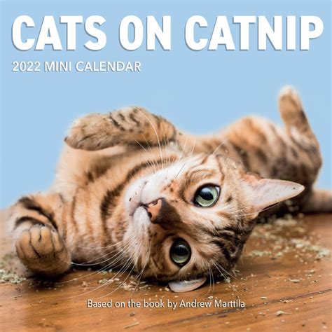 Cats on Catnip Calendar 2022 Cats on Catnip Calendar 20222023 animals