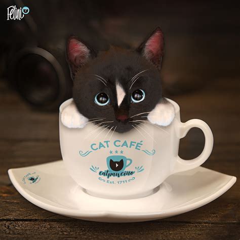 Cats on coffee. 11. Caffeine is very bad for cats and dogs. Don't let your cats have any coffee, soda, tea, etc. One tiny dose won't kill them, but you could be racking up organ damage each time. The HCCUA health website states that cats will get heart and nervous system damage from caffeine. I imagine it would also hurt the liver, kidneys, and GI tract … 