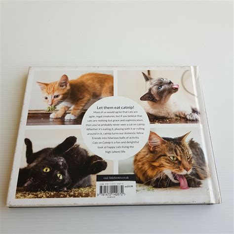 Download Cats On Catnip 20 Postcards By Andrew Marttila