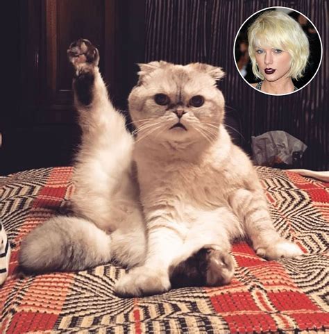 Catsofolivia Onlyfans Leak