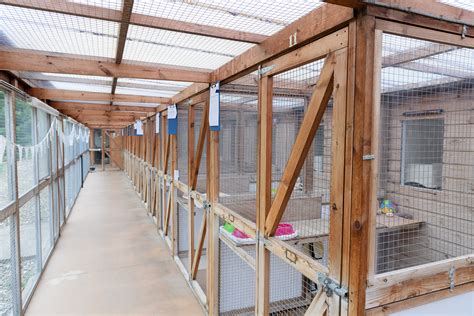 Cattery near me. Call. 12 mi | Tigers End, 51, Mill Rd, Salisbury, SP4 9QB. Closed Opens at 09:00. 5.0 (4 Ratings) Write a review. More info. Add a business. Find Catteries near Salisbury with reviews, contact details and directions. From pet shops to pet service providers, Yell.com has a comprehensive list of animal specialists near you. 