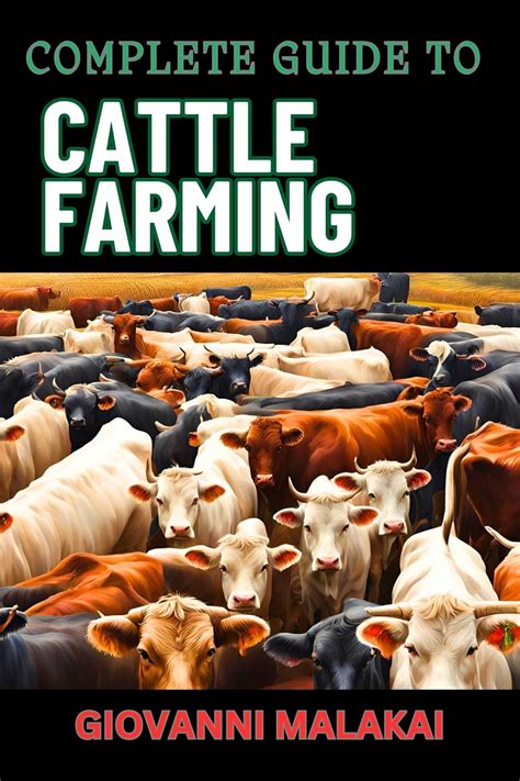 Cattle grow yard.  Our comprehensive guide covers it all.  &ldquo;If I ever did one sm...
