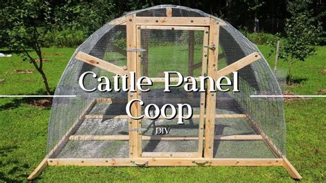 Cattle panel chicken coop ideas. .  <a href=https://lake-curator-alpha.nexlabs.co.uk/b...