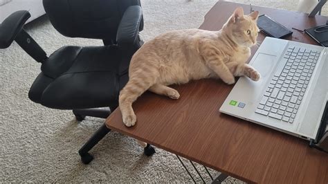 Catwork & Altan Çetin Bak Gör Текст песни.