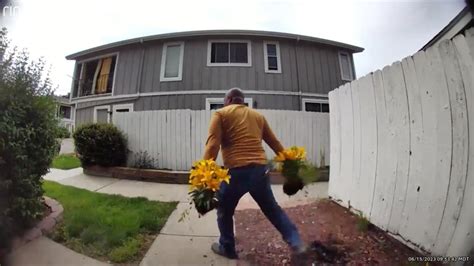 Caught on camera: Apparent thief rips plants from Aurora garden