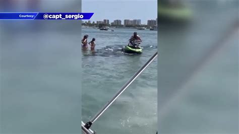 Caught on camera: Jetski rider driving over pod of manatees in Palm Beach County