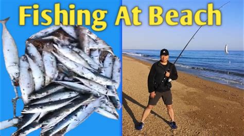 Caught so many fishes....enough for half year - YouTube