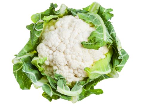 Cauliflower_Vip Leaked +18 60 Videos