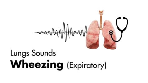 Causes Of Wheezing Sound On Exhaling - Steady. Health