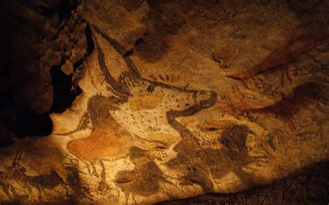 Cave Animal Wallpaper