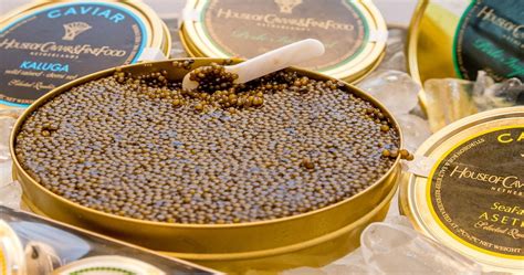 Caviar Types And Prices