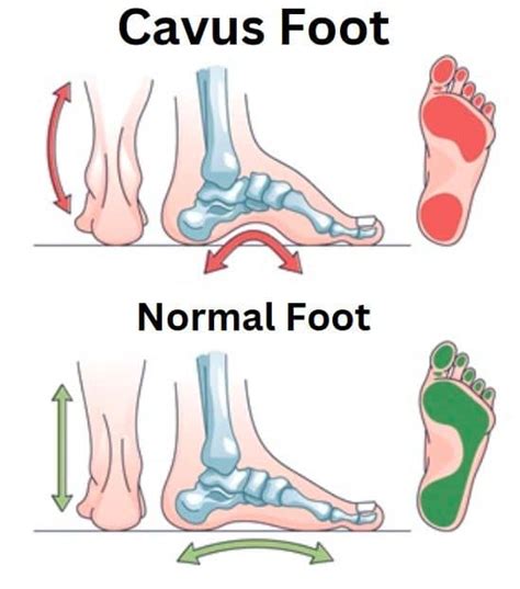 Cavus Halı ve Koltuk Yıkama