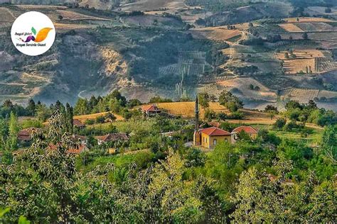 Cayirozu Halı ve Koltuk Yıkama