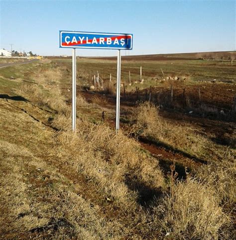 Caylarbasi Halı ve Koltuk Yıkama