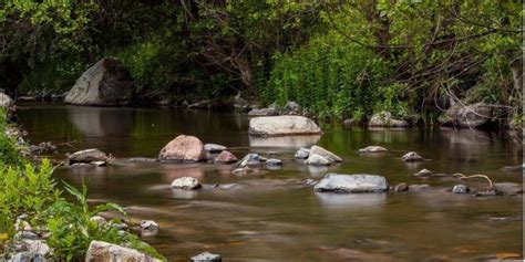 Cayoren Halı ve Koltuk Yıkama