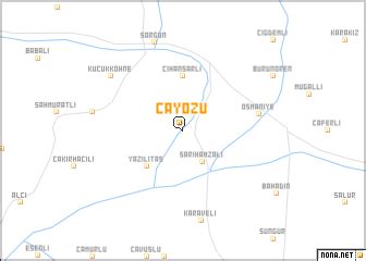 Cayozu Halı ve Koltuk Yıkama