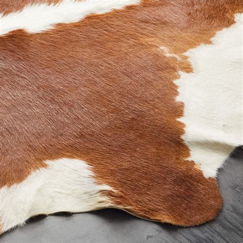 Cb2 brown rug.  Each hide will be unique in size, shape and tones.  Soft brown p...